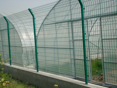 40.jpg 40.jpg